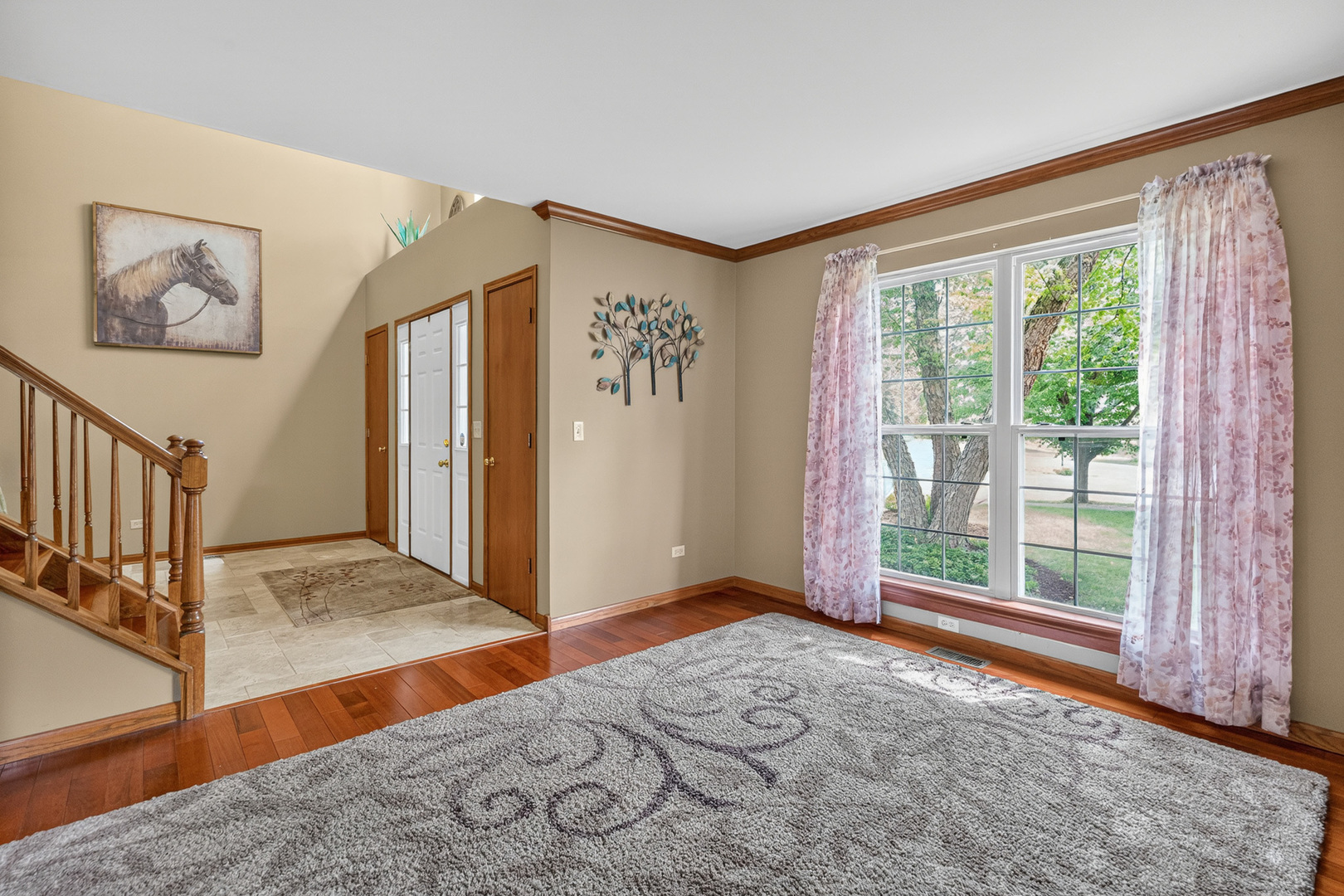 5205 Brookshire Estates Drive, Plainfield, IL 60586