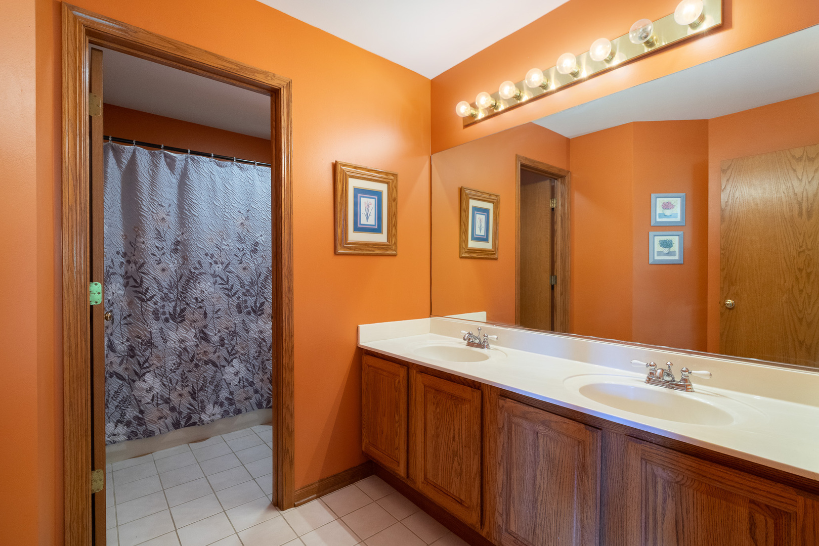 5205 Brookshire Estates Drive, Plainfield, IL 60586