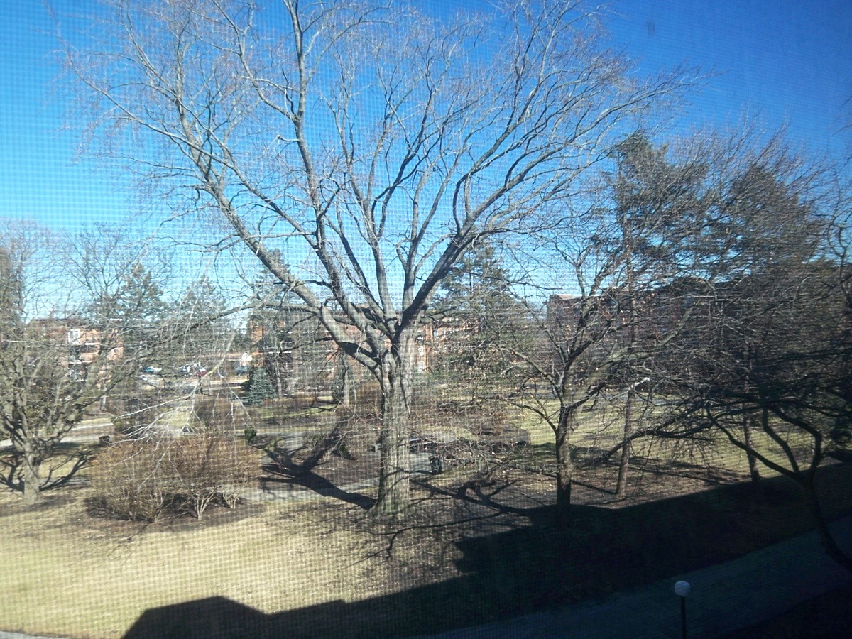 1227 S Old Wilke Road #306, Arlington Heights, IL 60005