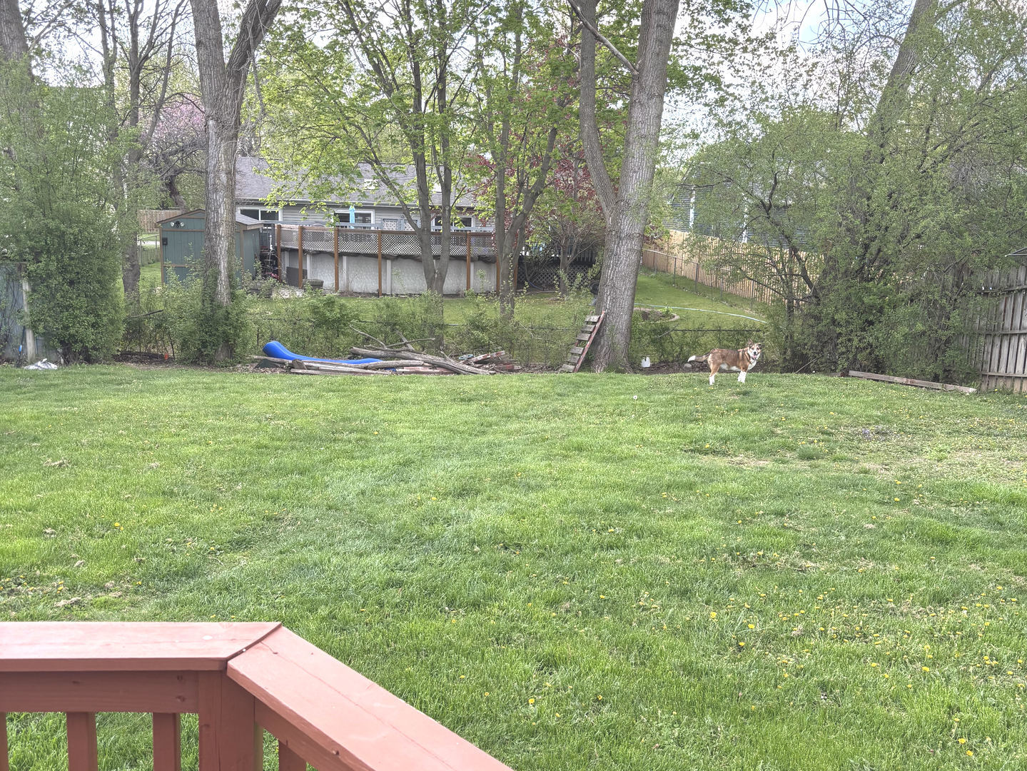 906 Knightsbridge Drive, Island Lake, IL 60042