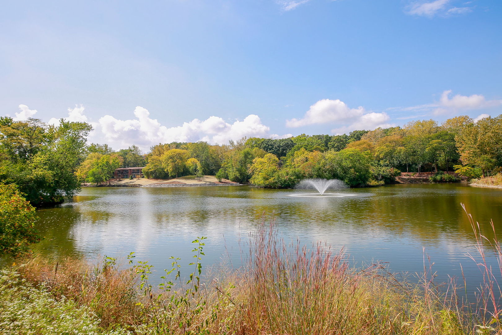 5542 E Lake Drive #74E, Lisle, IL 60532
