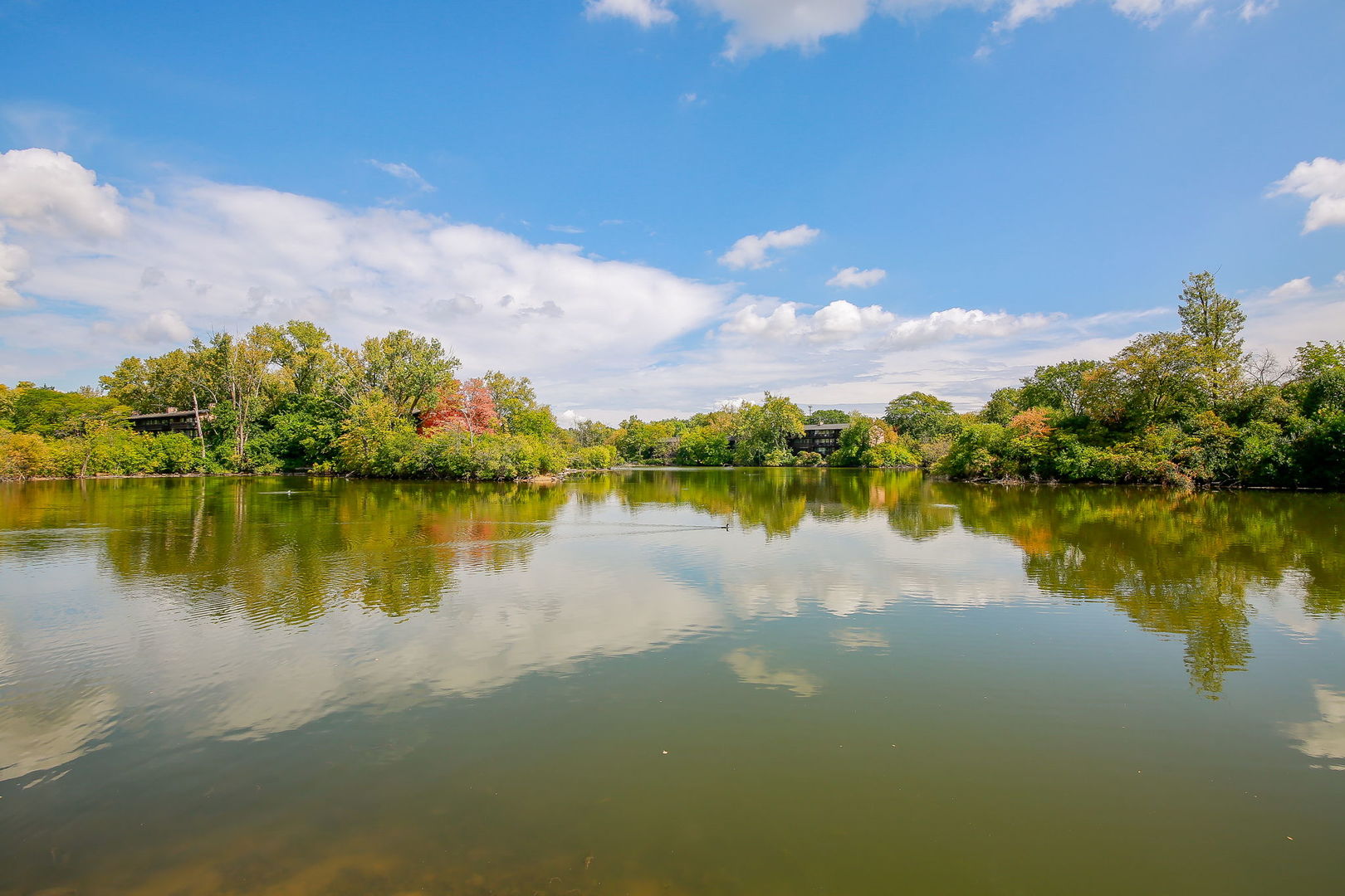 5542 E Lake Drive #74E, Lisle, IL 60532
