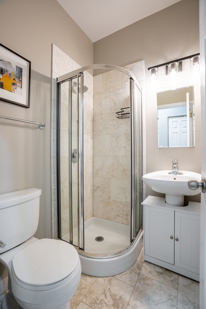 1043 N Winchester Avenue #3, Chicago, IL 60622