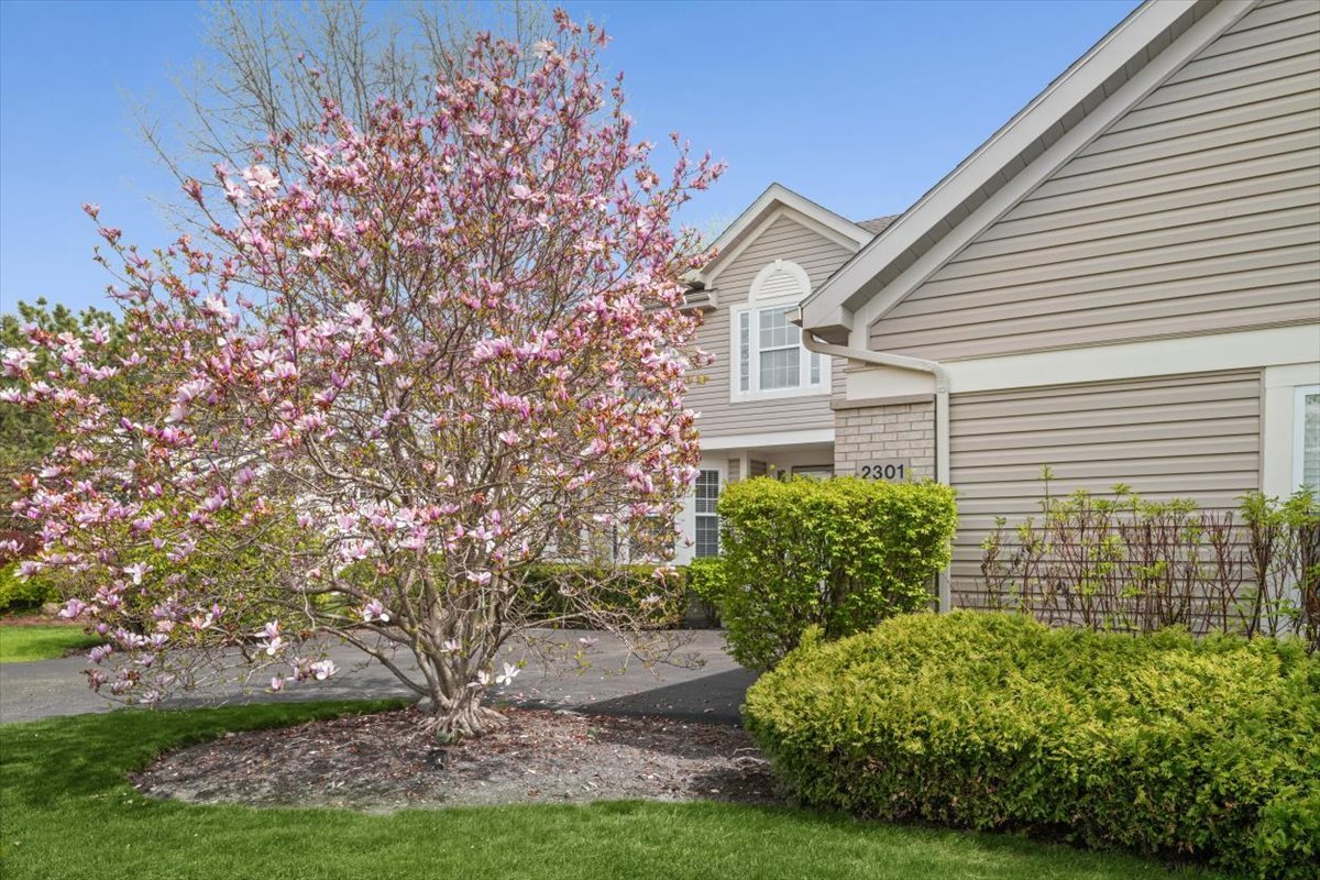 2301 Madiera Lane, Buffalo Grove, IL 60089