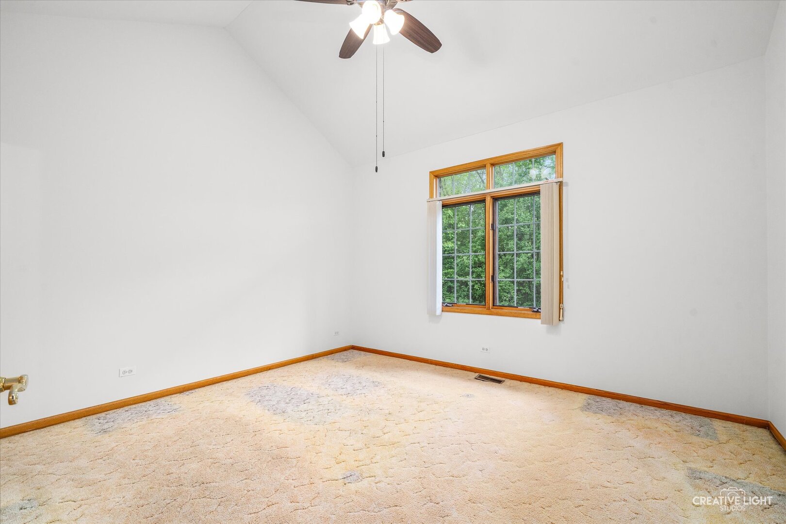 12780 Marian Drive, Lemont, IL 60439