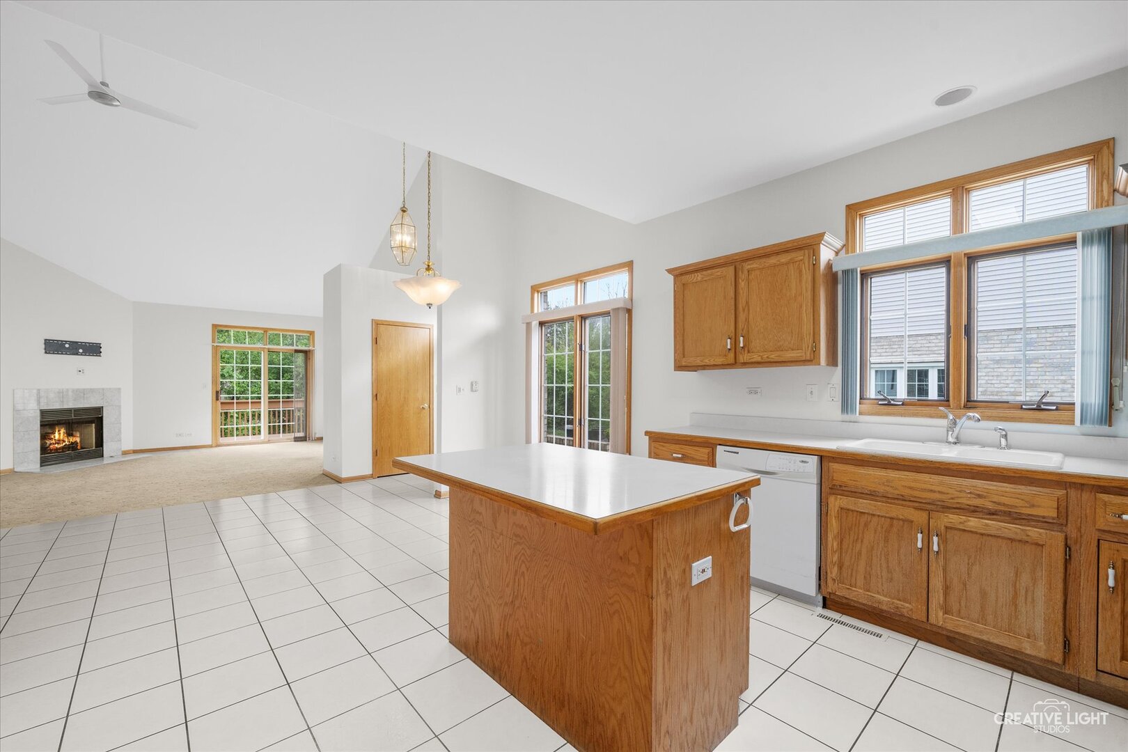 12780 Marian Drive, Lemont, IL 60439