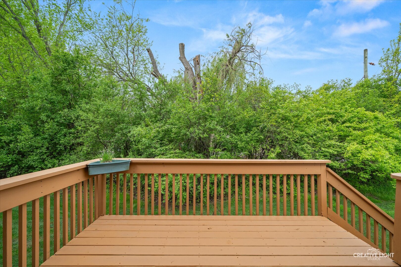 12780 Marian Drive, Lemont, IL 60439