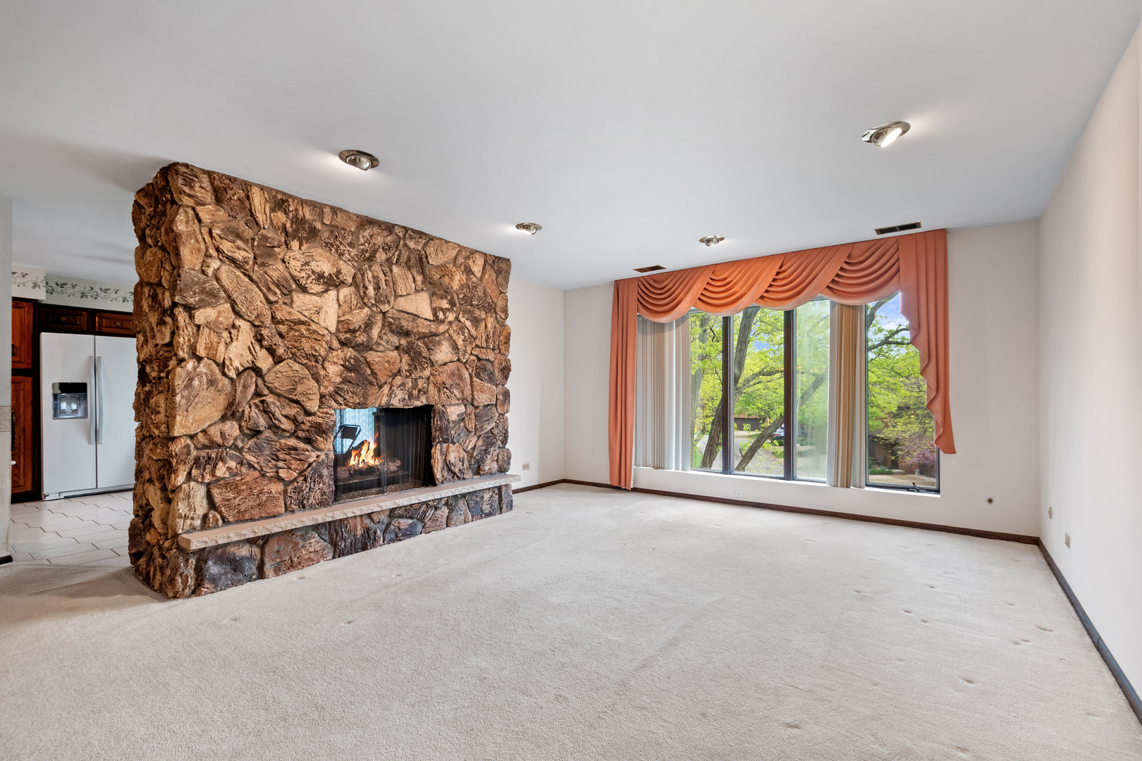 75 BOARDWALK Place #203, Park Ridge, IL 60068