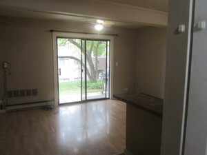 48 Oak Hill Colony #2, Fox Lake, IL 60020