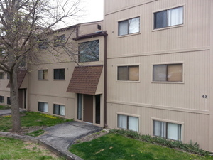 48 Oak Hill Colony #2, Fox Lake, IL 60020