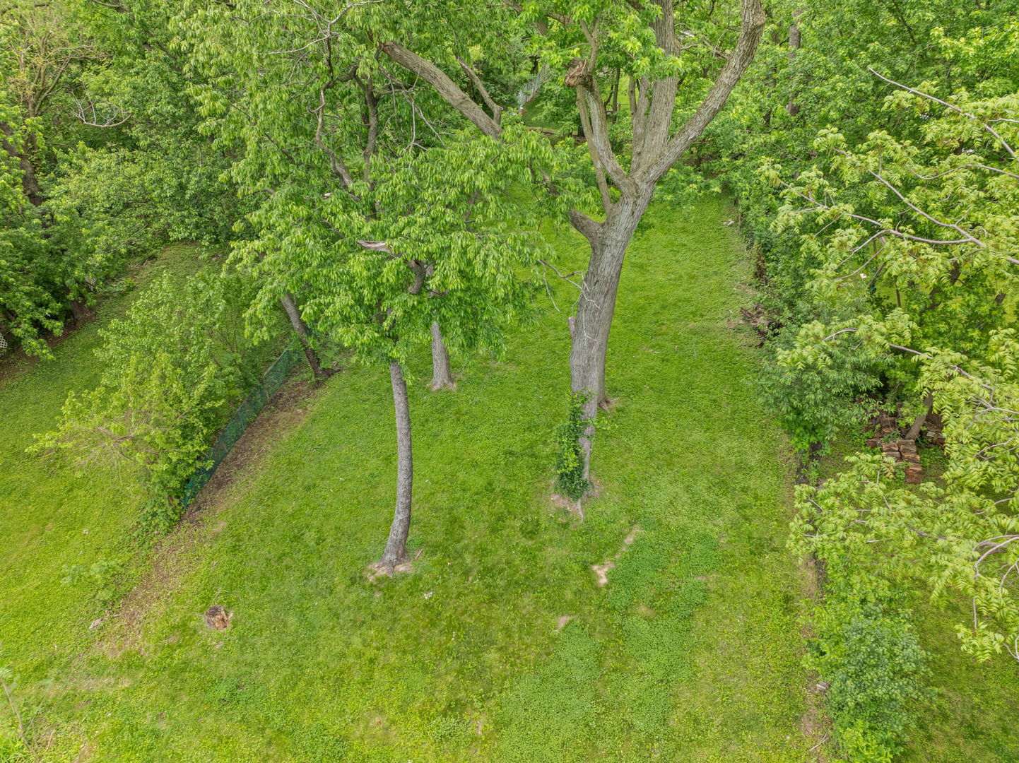 15332 Kenton Avenue, Oak Forest, IL 60452