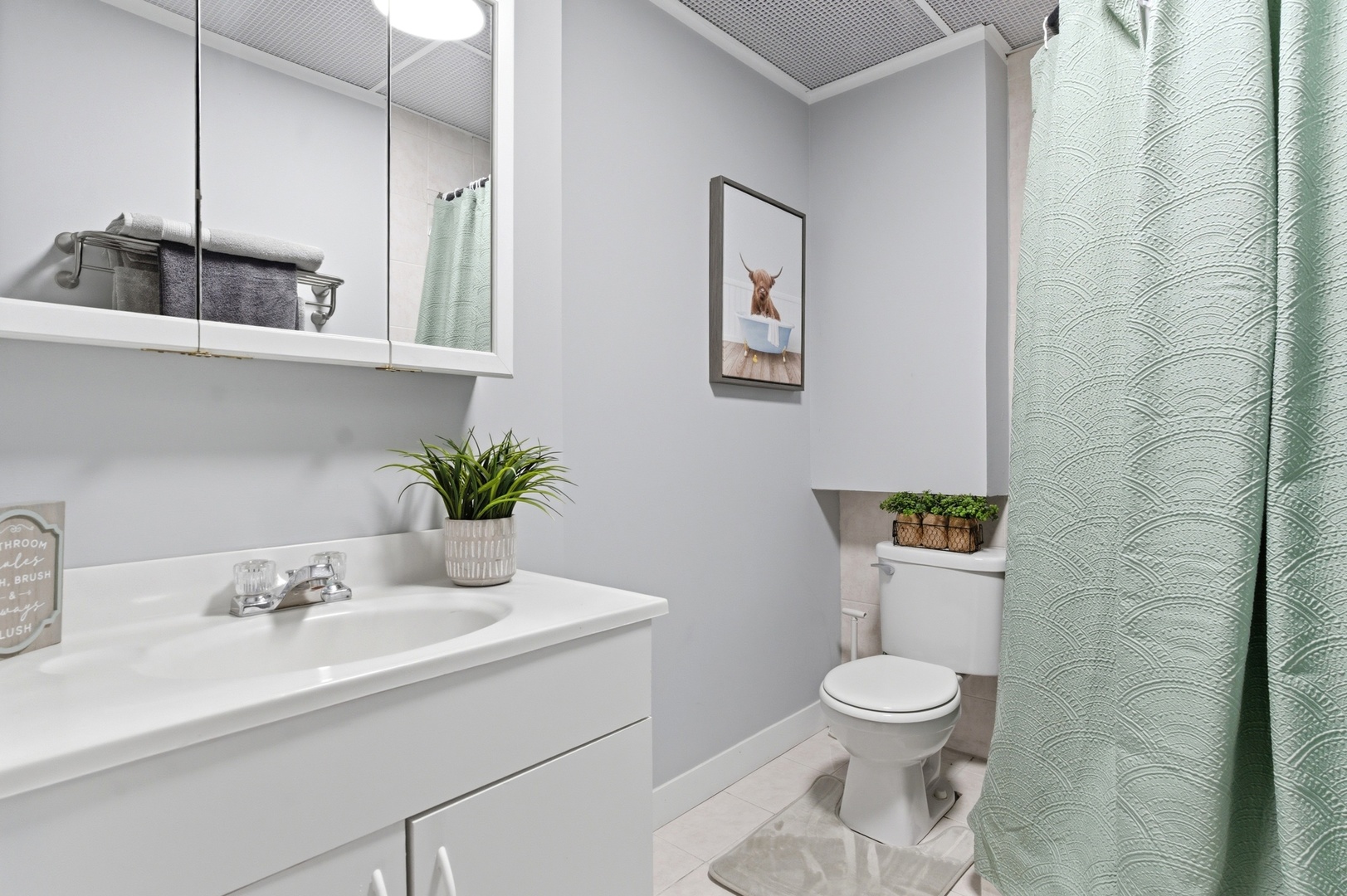 16123 S Peerless Drive, Plainfield, IL 60586