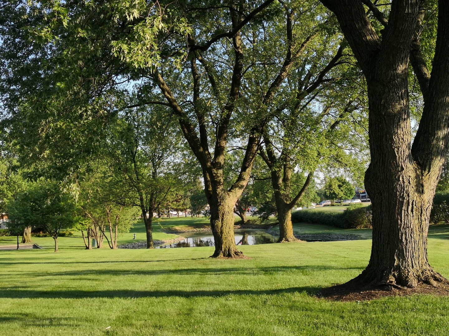 23 N Tower Road, Oak Brook, IL 60523