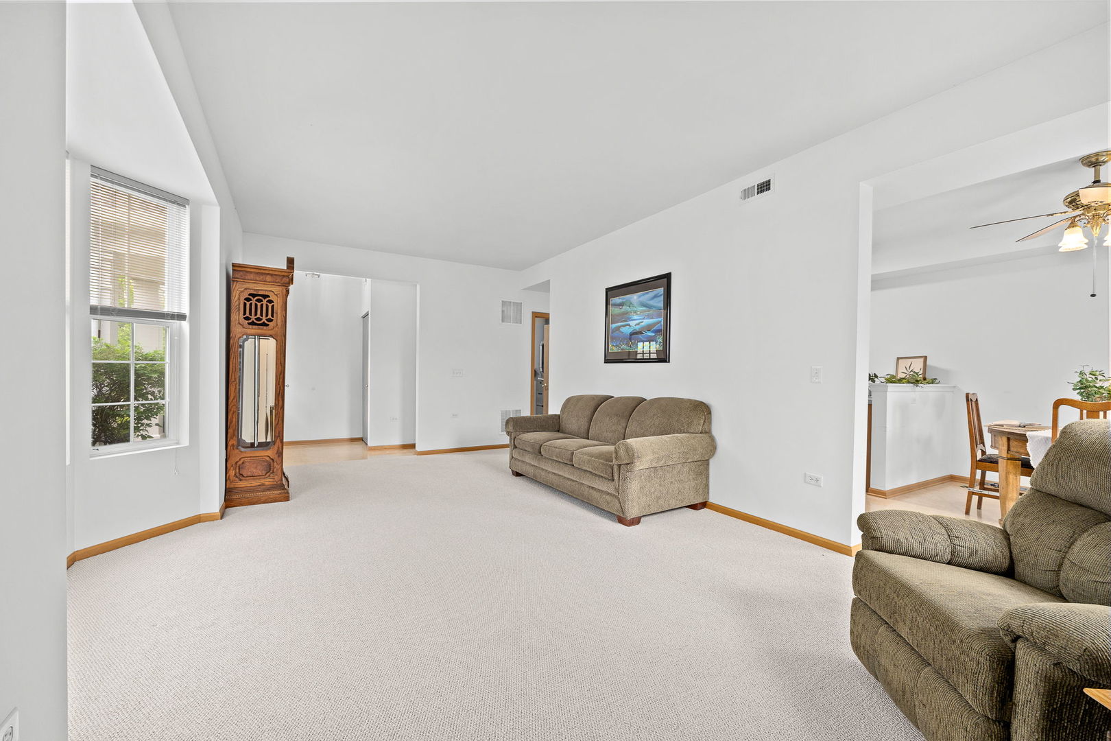 24850 W Franklin Lane, Plainfield, IL 60585