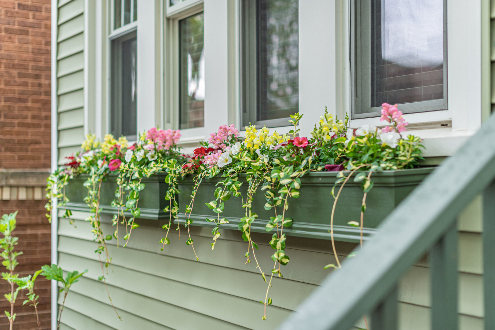 1443 W Catalpa Avenue, Chicago, IL 60640