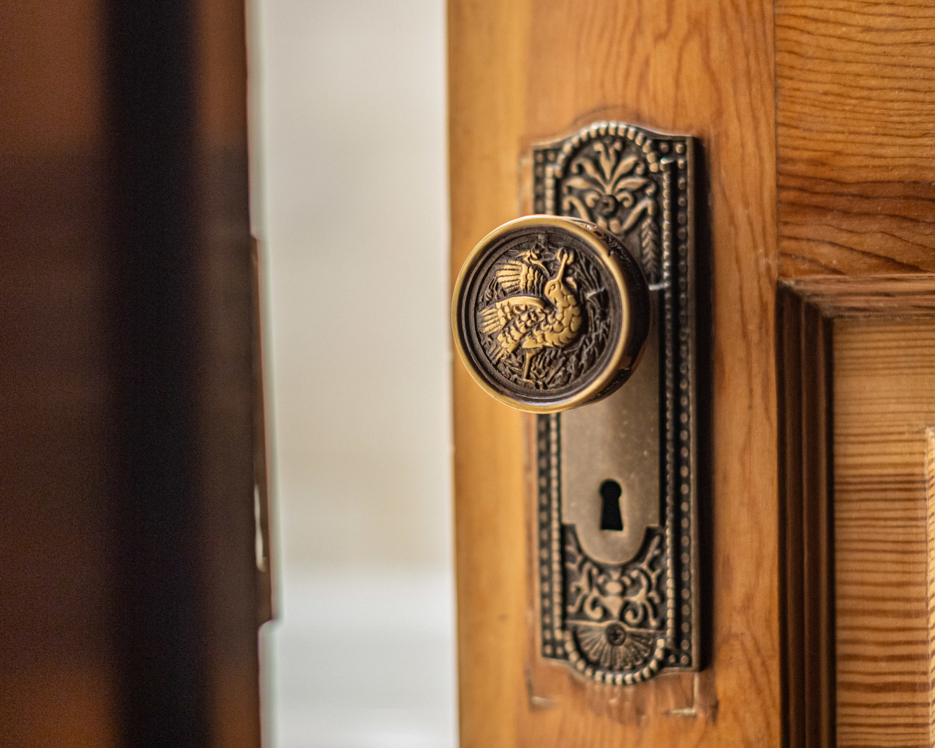 1443 W Catalpa Avenue, Chicago, IL 60640