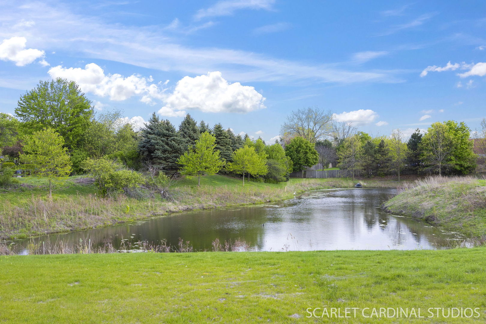 8490 Cornelia Lane, Woodridge, IL 60517