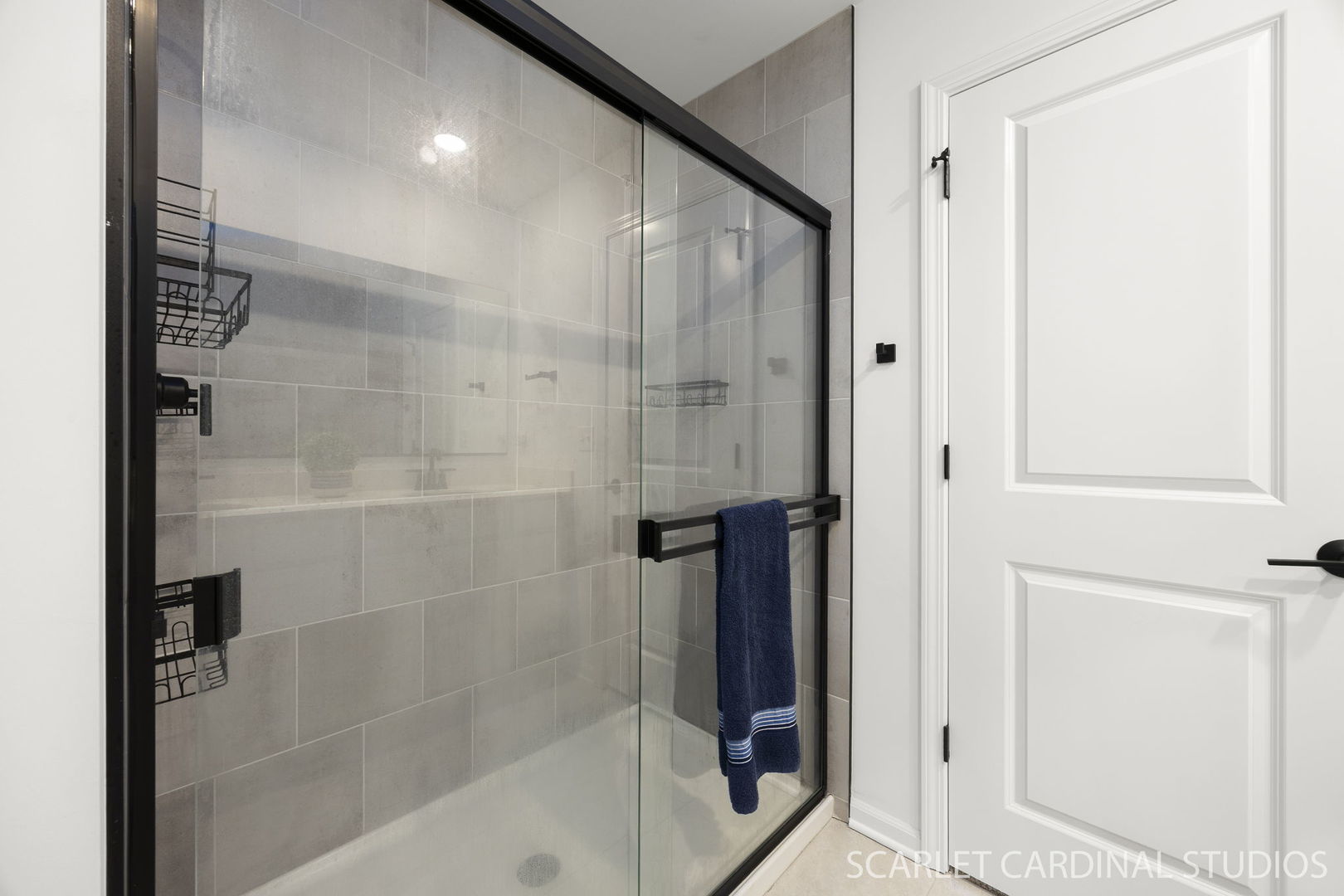 8490 Cornelia Lane, Woodridge, IL 60517