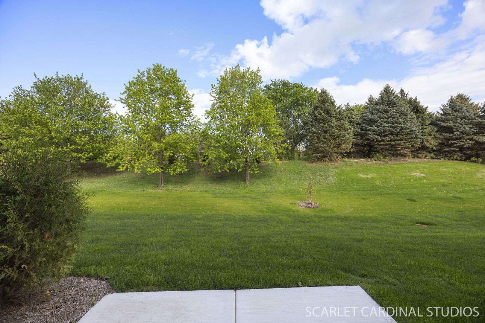 8490 Cornelia Lane, Woodridge, IL 60517