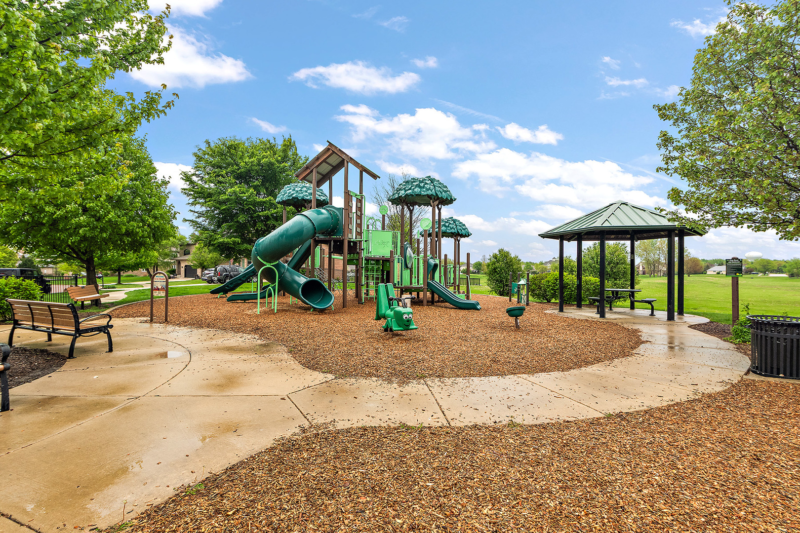 1231 Abbey Oaks Drive, Lemont, IL 60439