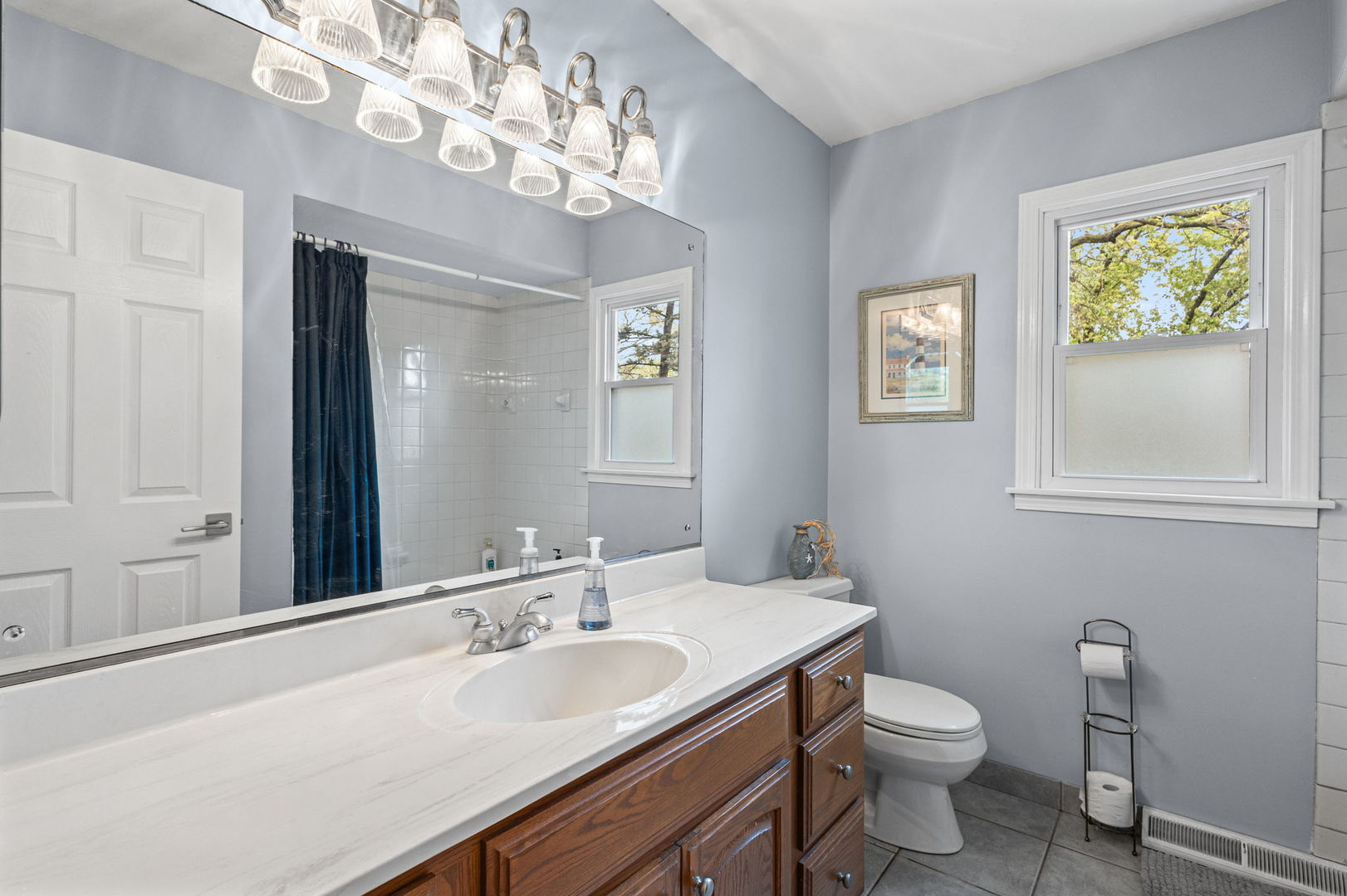 220 White Fawn Trail, Downers Grove, IL 60516