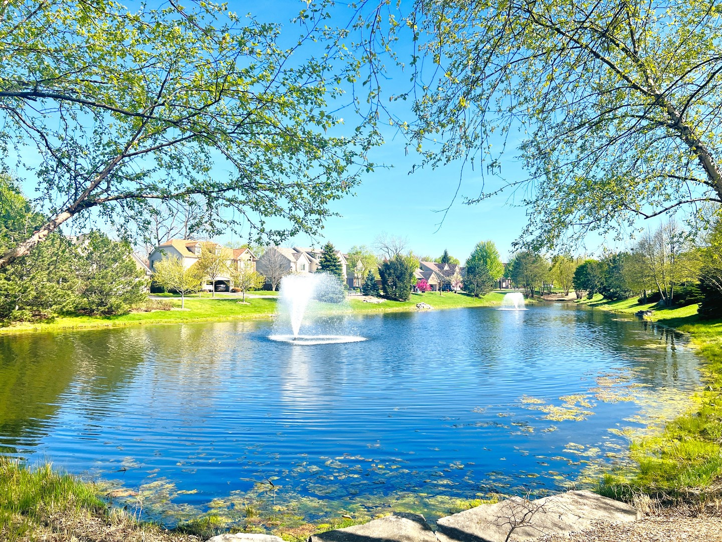 2585 Waterbury Lane, Buffalo Grove, IL 60089