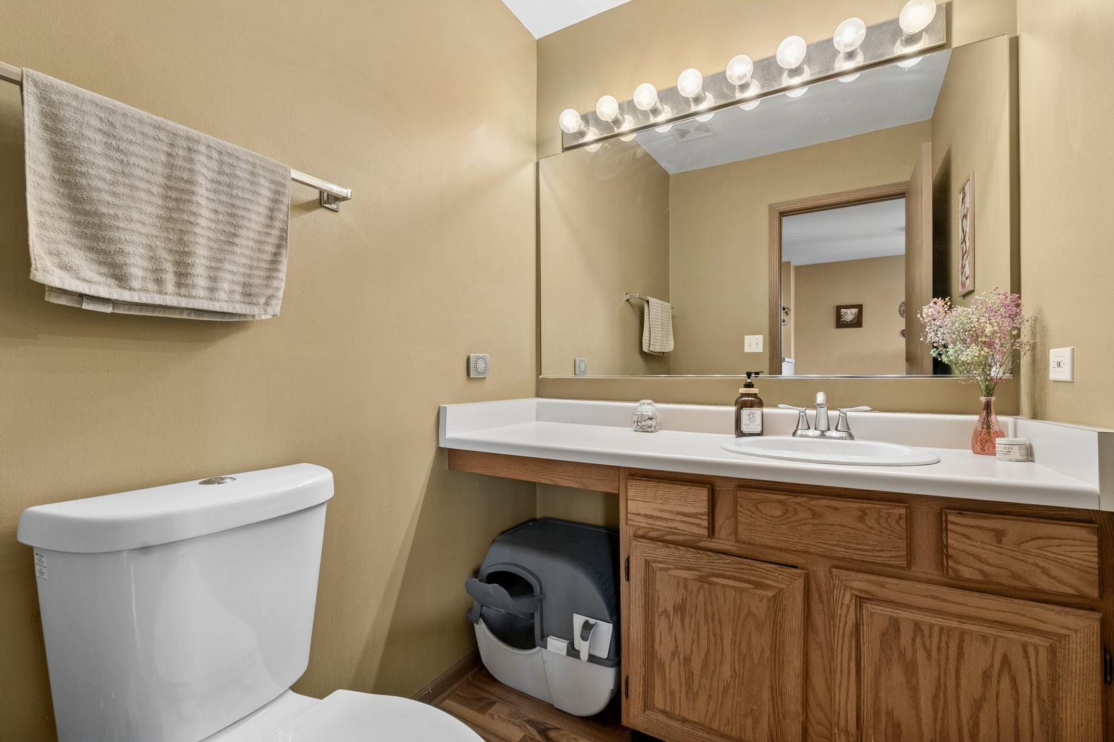 261 Ashbury Lane, Roselle, IL 60172