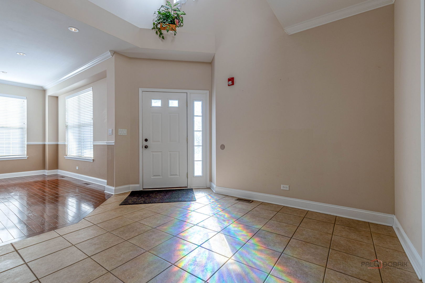 874 Savoy Court, Lake Zurich, IL 60047