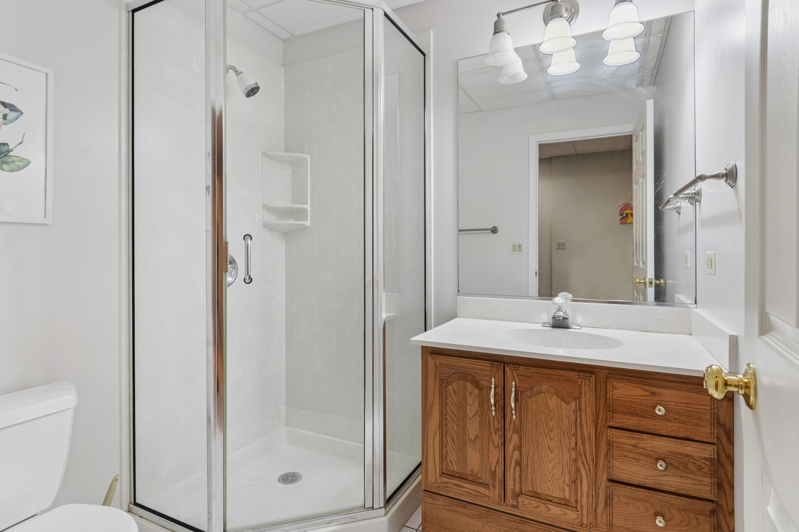 628 Windham Lane, Naperville, IL 60563