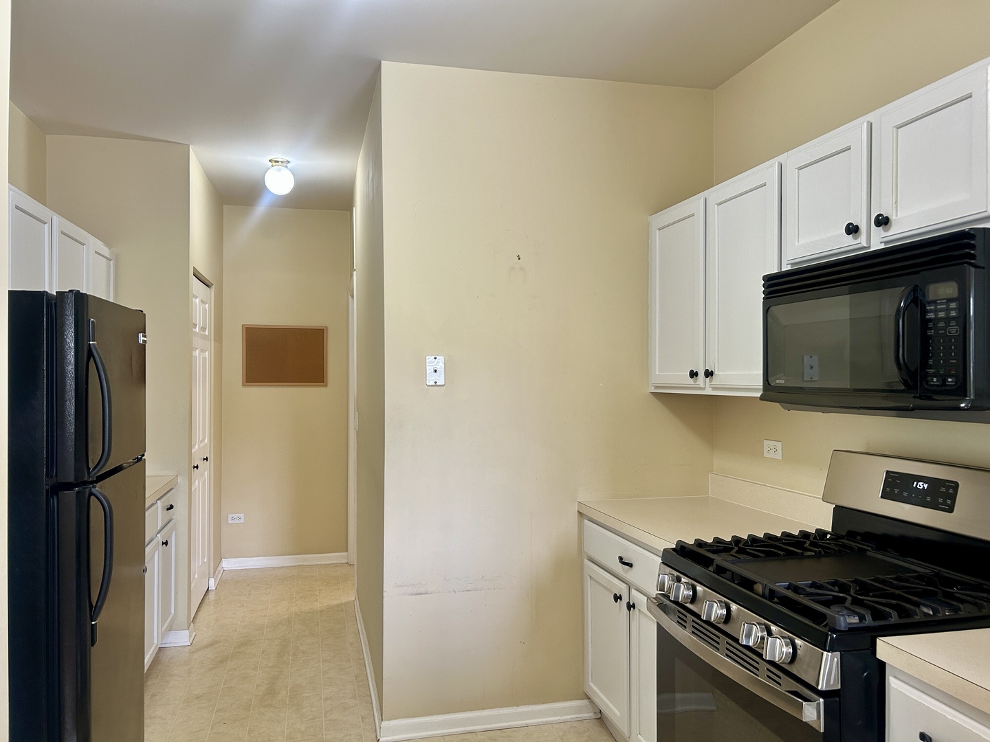 3165 Falling Waters Lane #3165, Lindenhurst, IL 60046