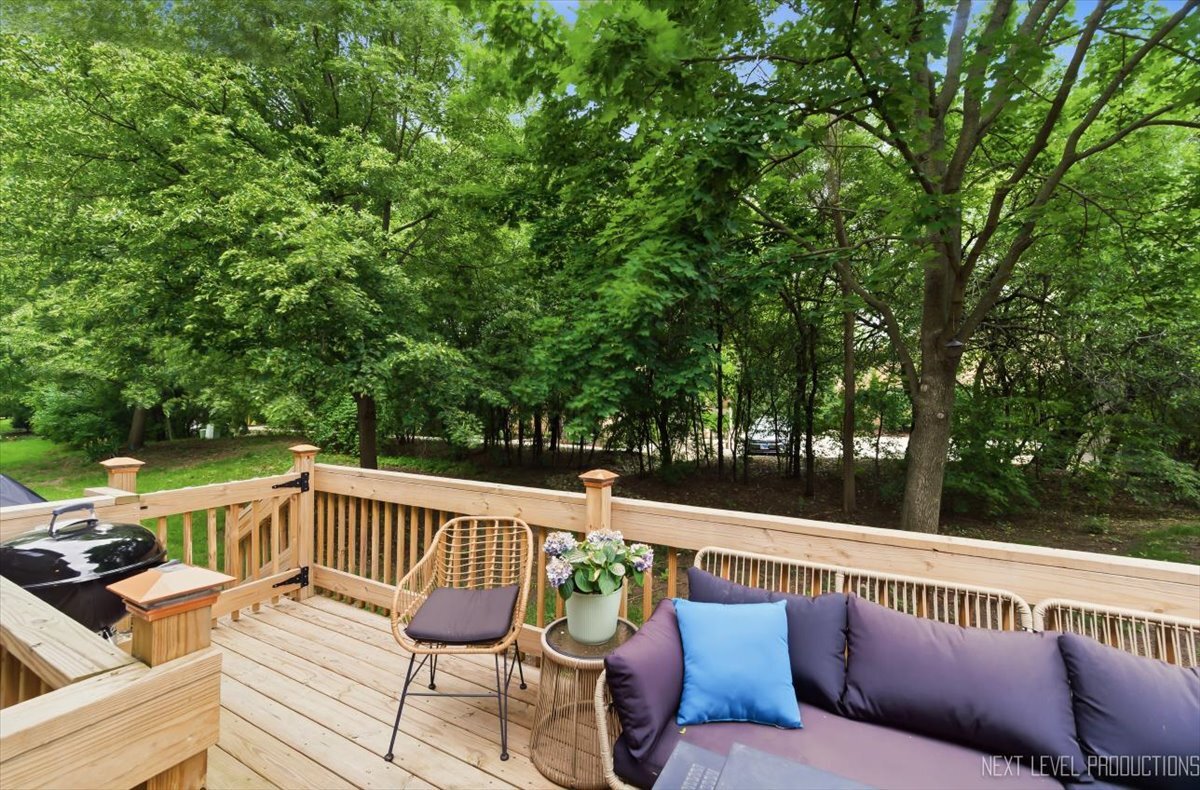 1754 Briggs Court, Lisle, IL 60532
