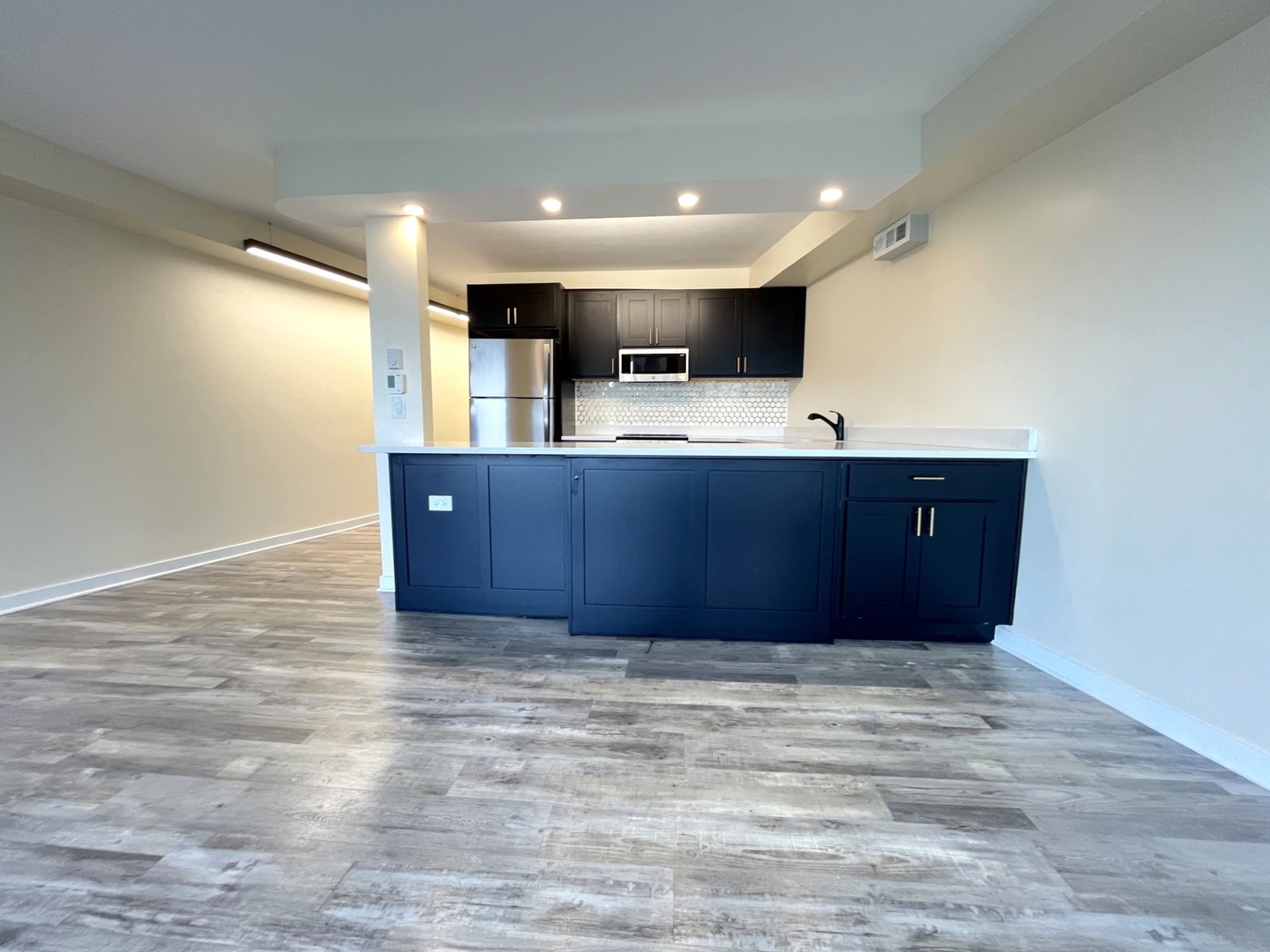 300 N State Street #5225, Chicago, IL 60654