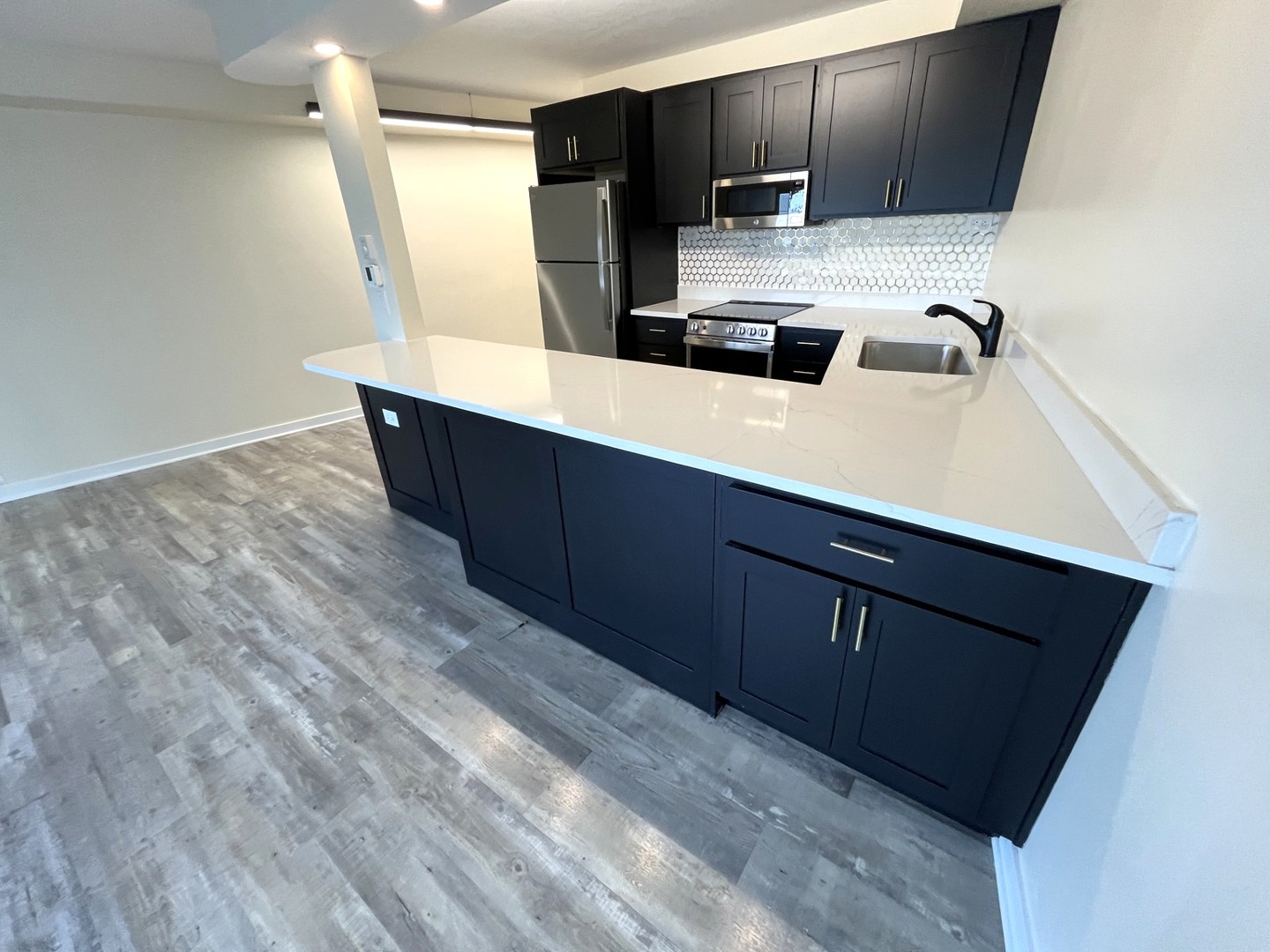 300 N State Street #5225, Chicago, IL 60654