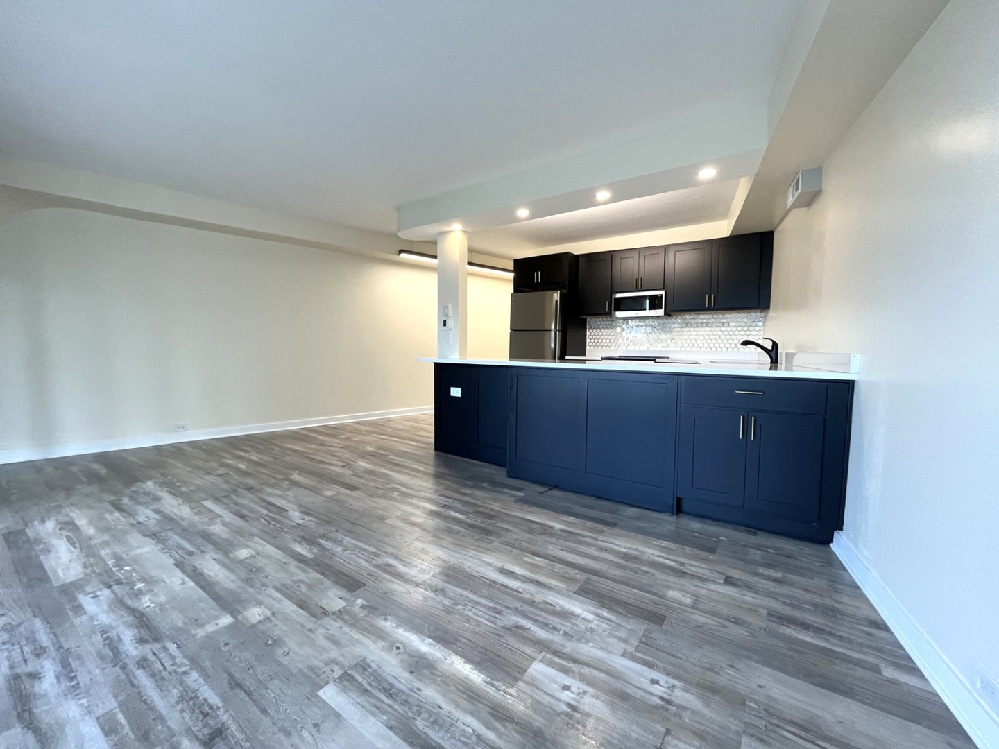 300 N State Street #5225, Chicago, IL 60654