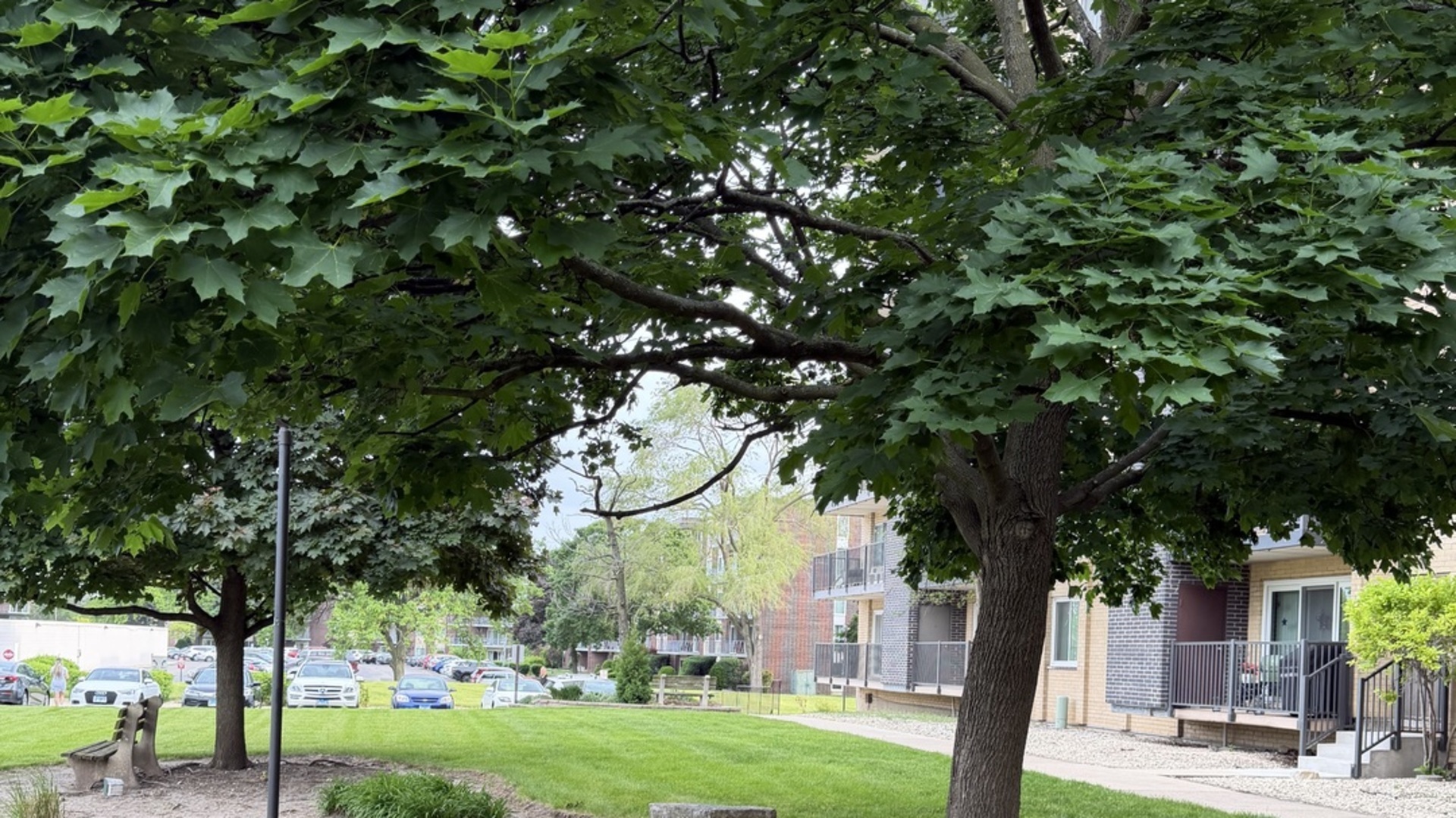 5400 Walnut Avenue #803, Downers Grove, IL 60515