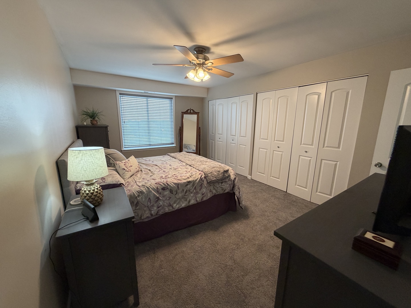5400 Walnut Avenue #803, Downers Grove, IL 60515