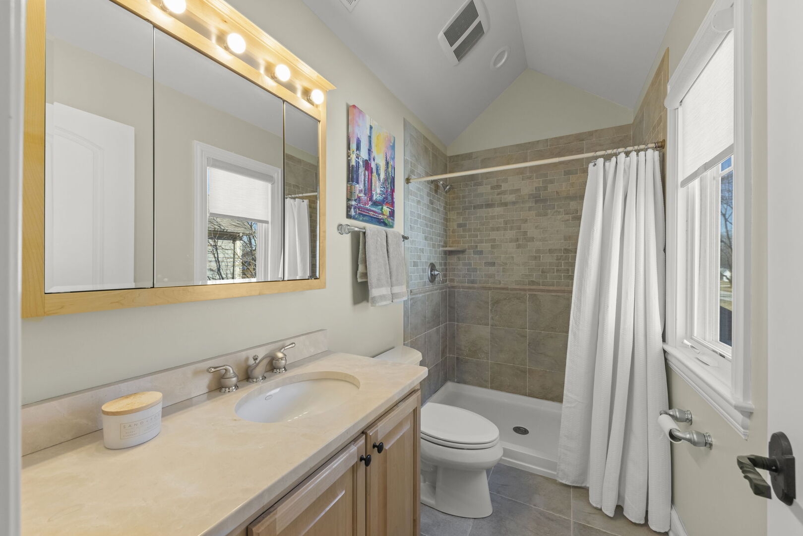 1723 Driving Park Road, Wheaton, IL 60187