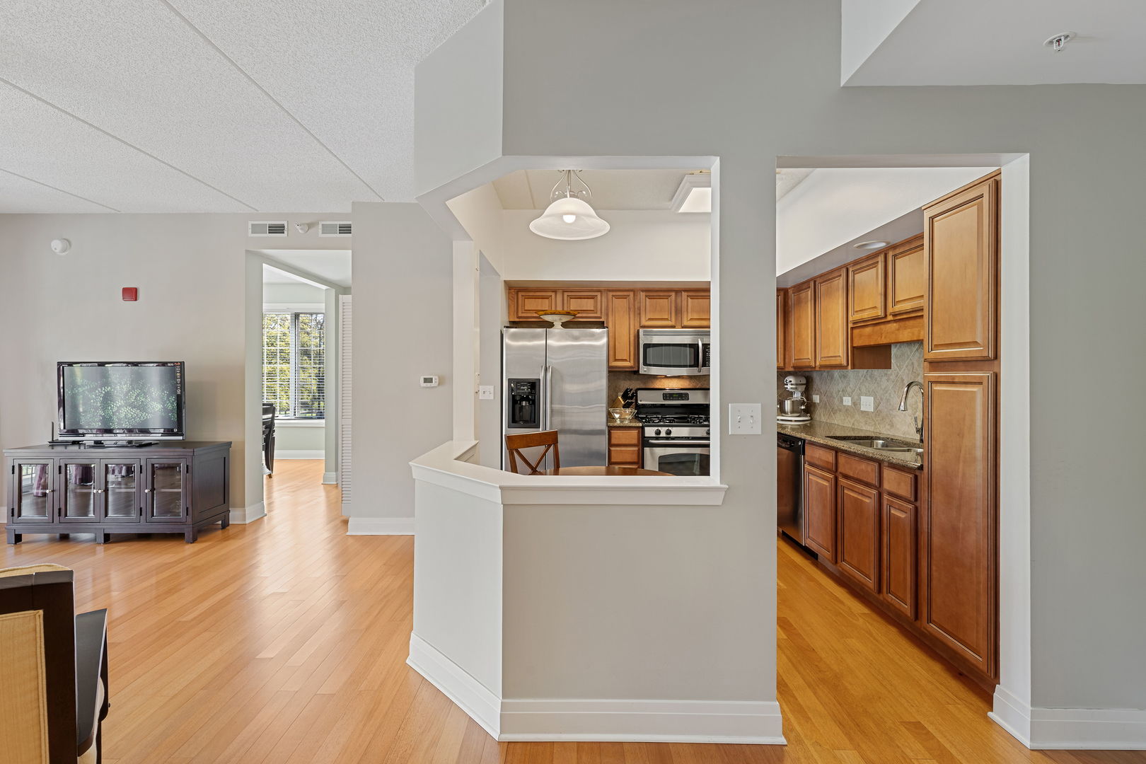 100 S Emerson Street #205, Mount Prospect, IL 60056