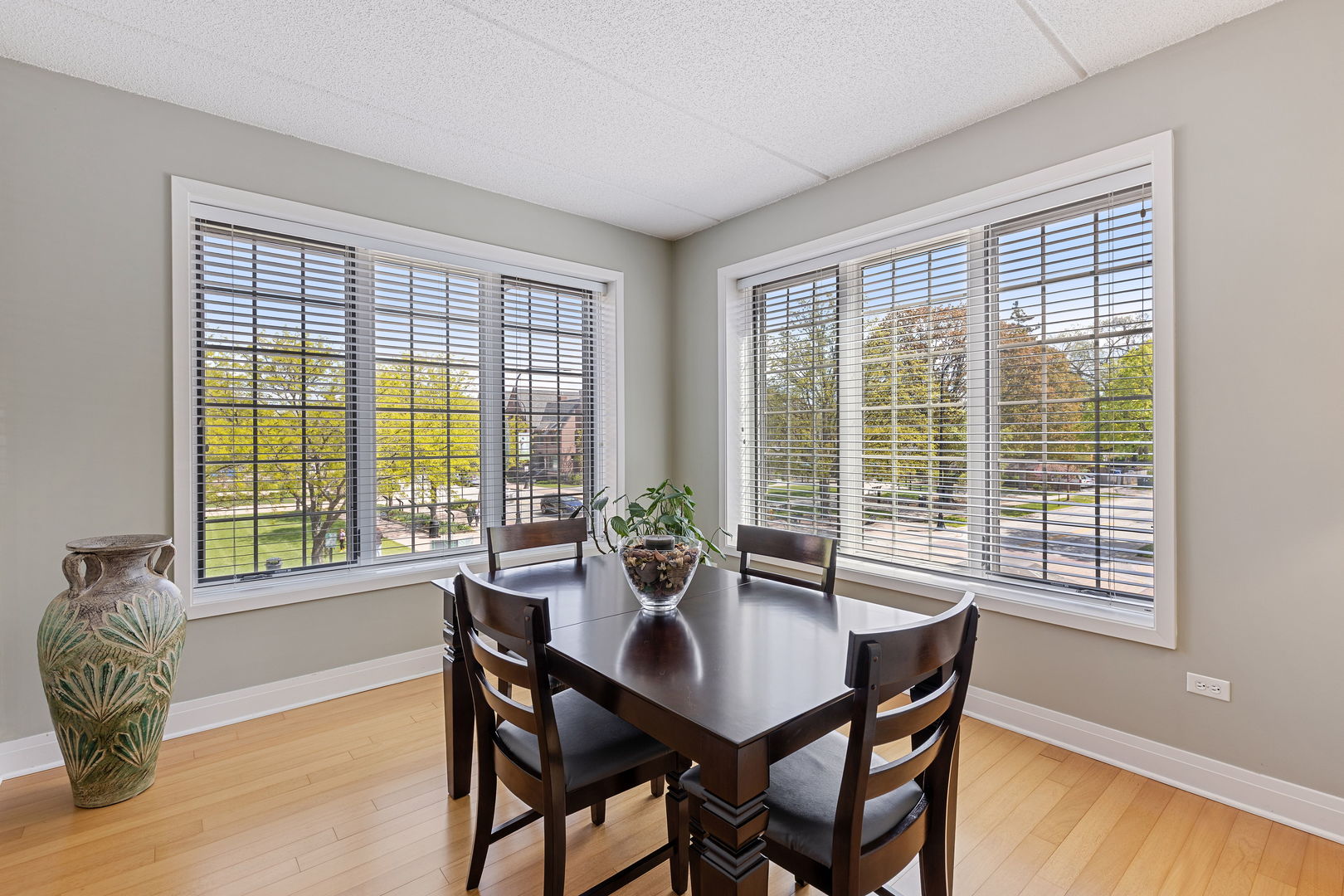 100 S Emerson Street #205, Mount Prospect, IL 60056