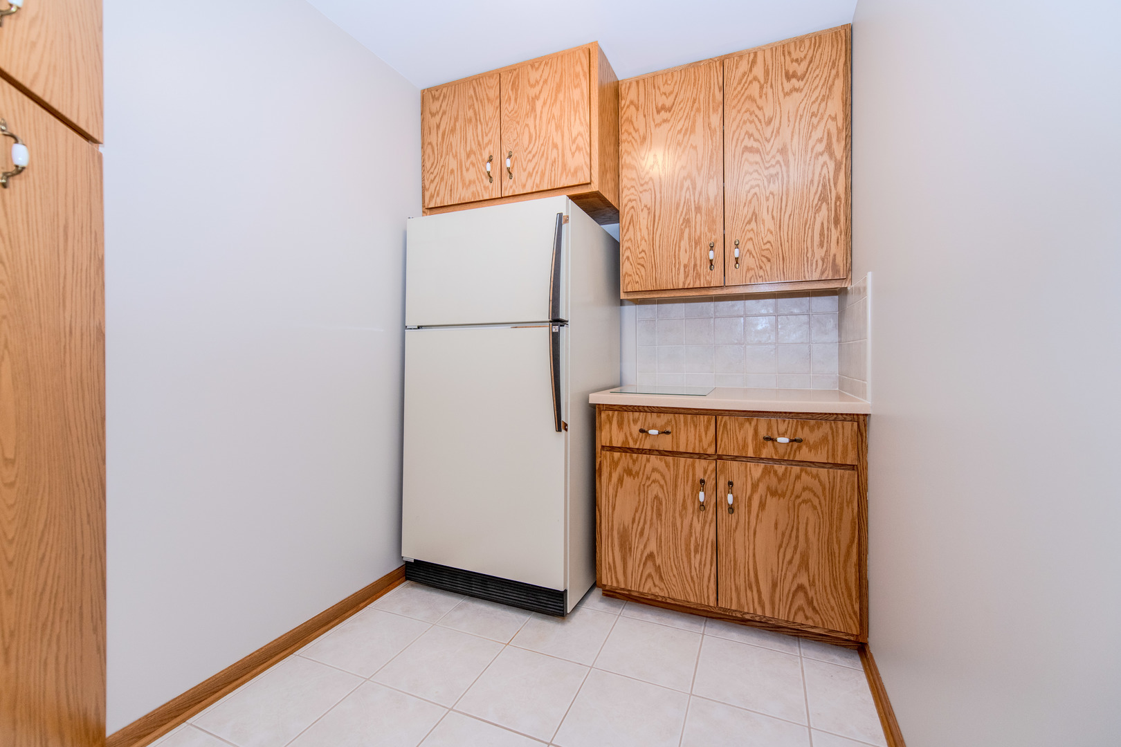 18816 S Chestnut Drive, Shorewood, IL 60404