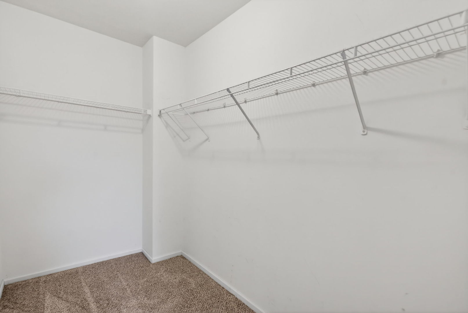 1120 Coneflower Court, Minooka, IL 60447