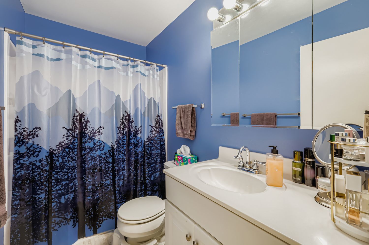 58 Portwine Road, Willowbrook, IL 60527