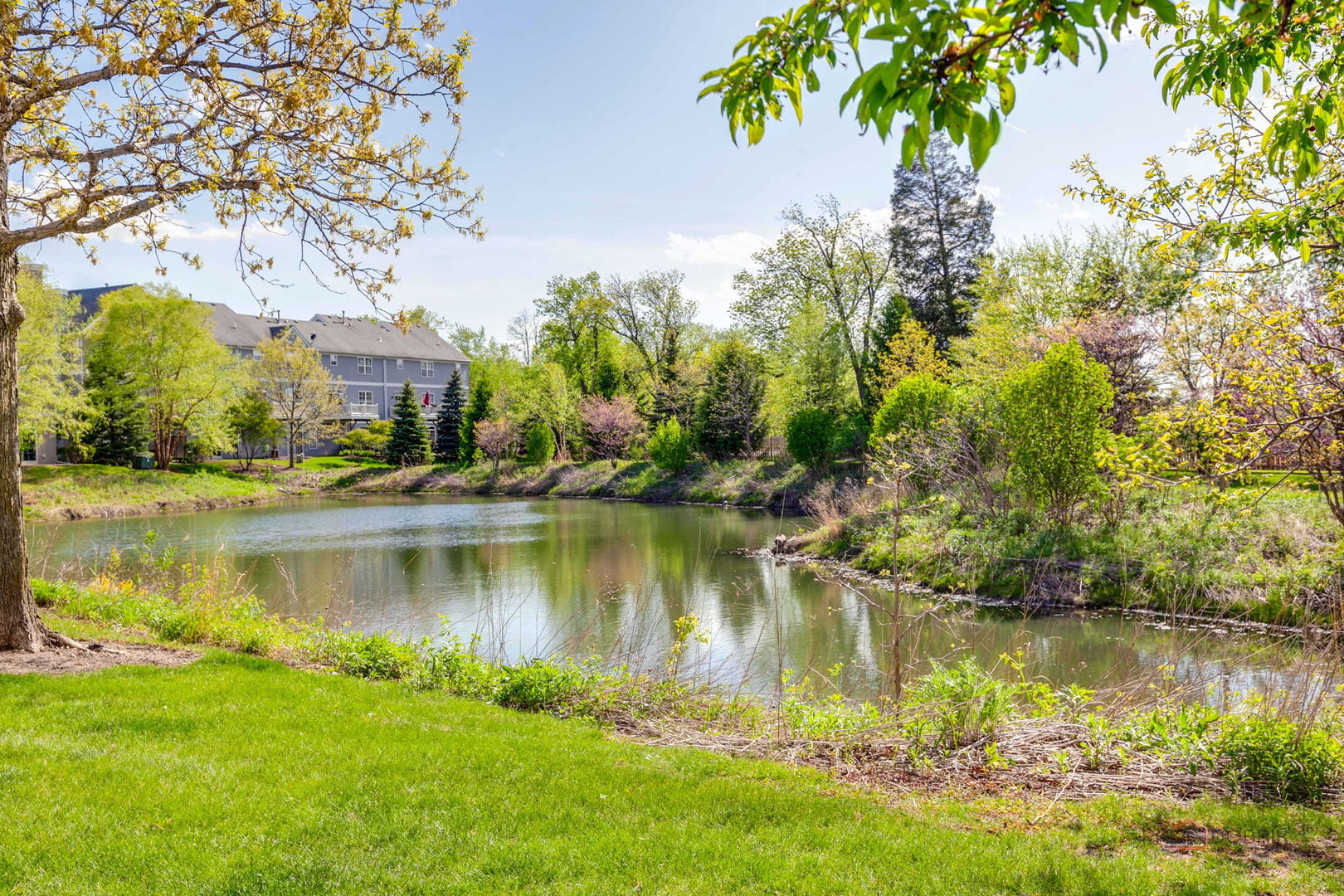 1845 Watercolor Place, Grayslake, IL 60030