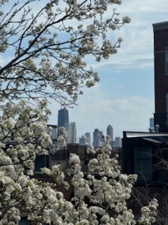 1351 W Altgeld Street #3A, Chicago, IL 60614