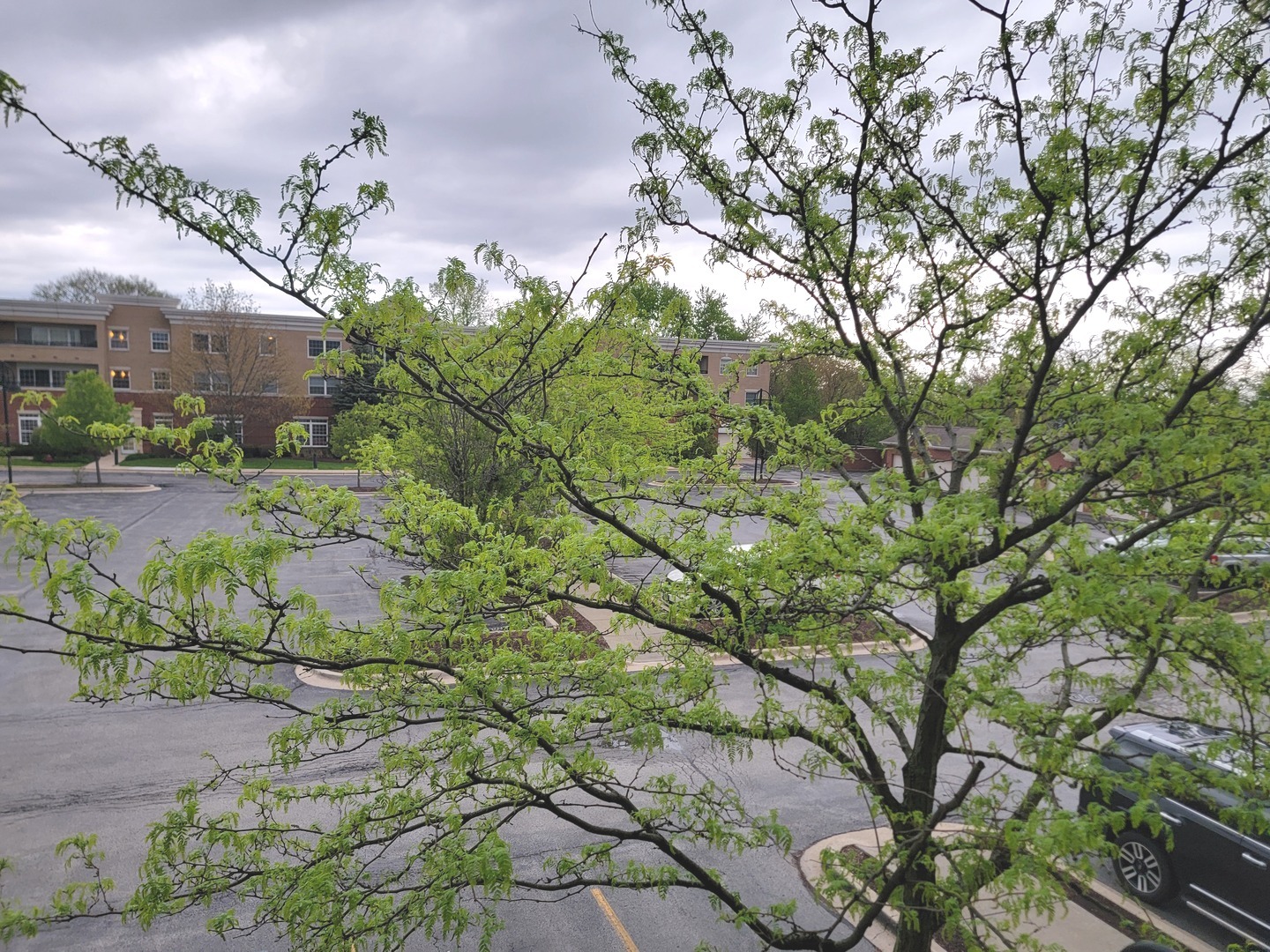 49 Old Frankfort Way #210, Frankfort, IL 60423