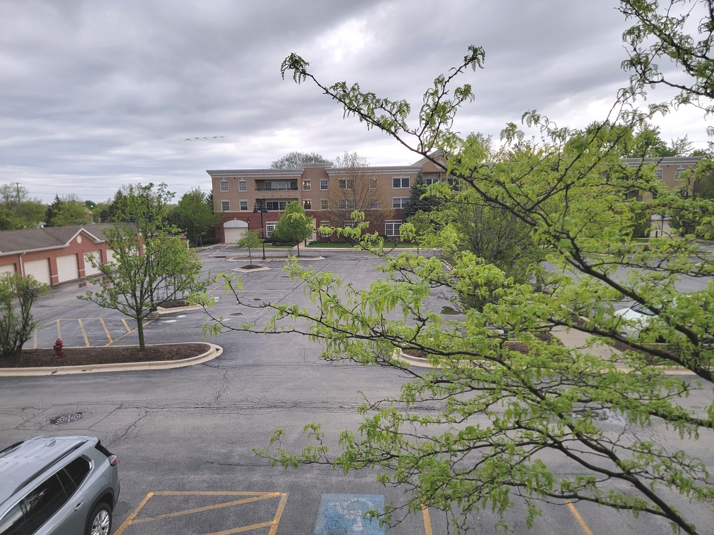 49 Old Frankfort Way #210, Frankfort, IL 60423