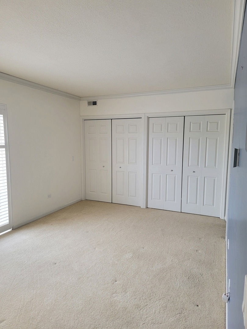 49 Old Frankfort Way #210, Frankfort, IL 60423