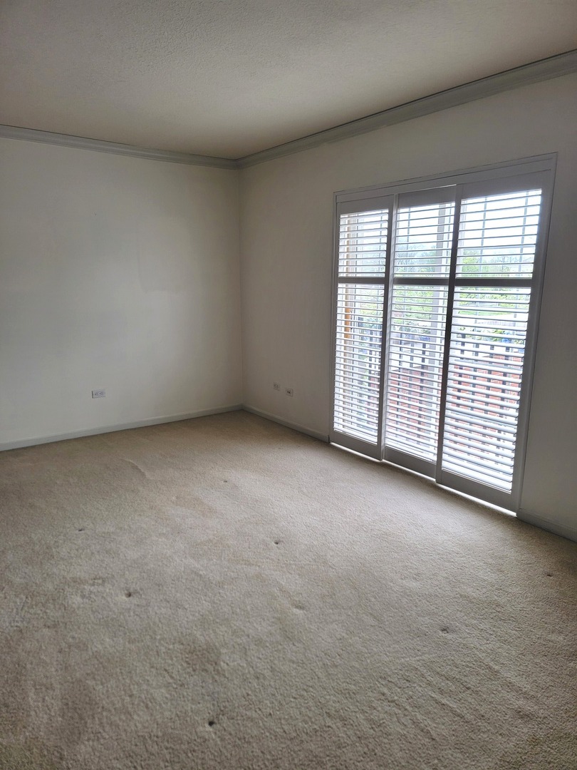 49 Old Frankfort Way #210, Frankfort, IL 60423