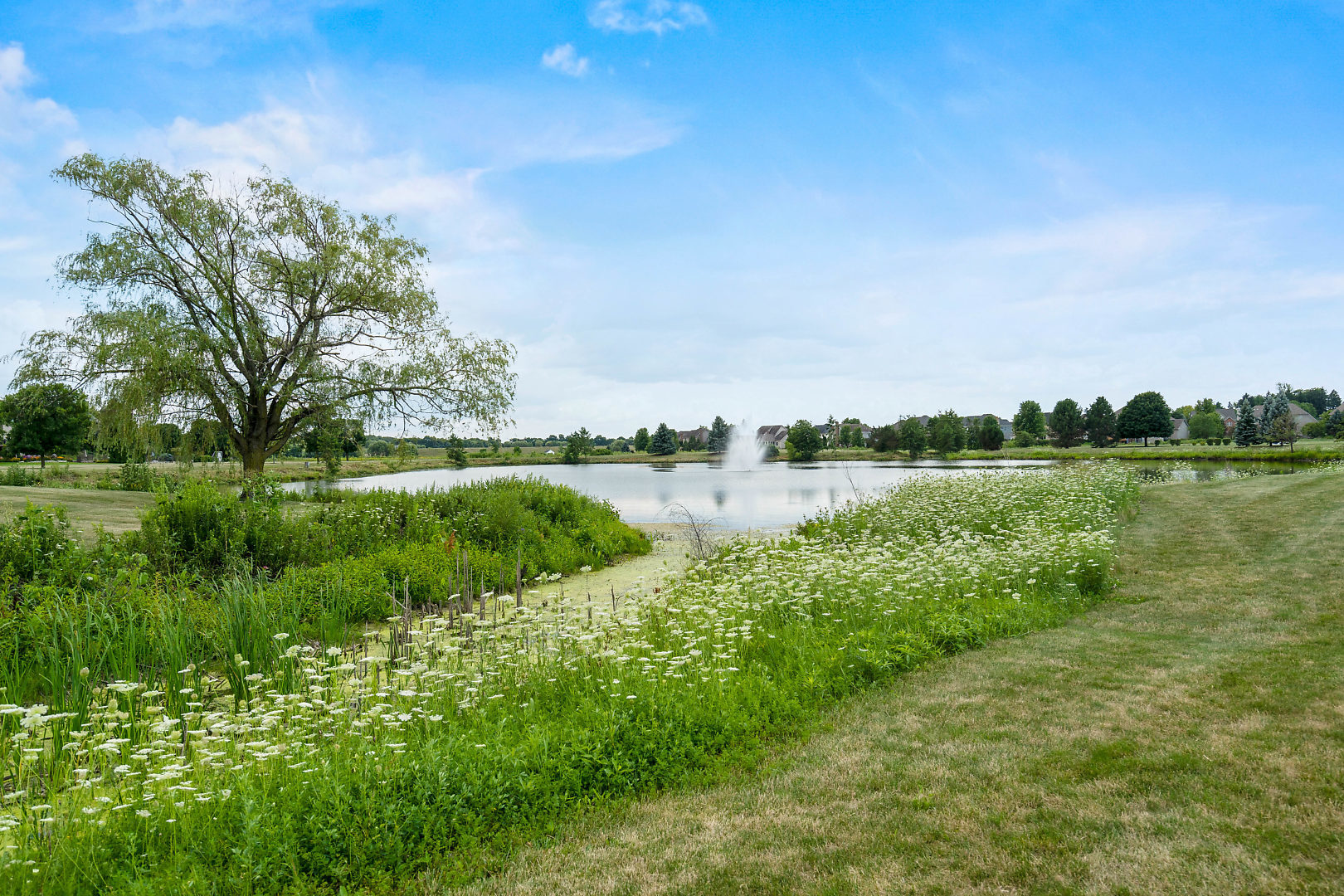 3N706 Herman Melville Lane, St. Charles, IL 60175