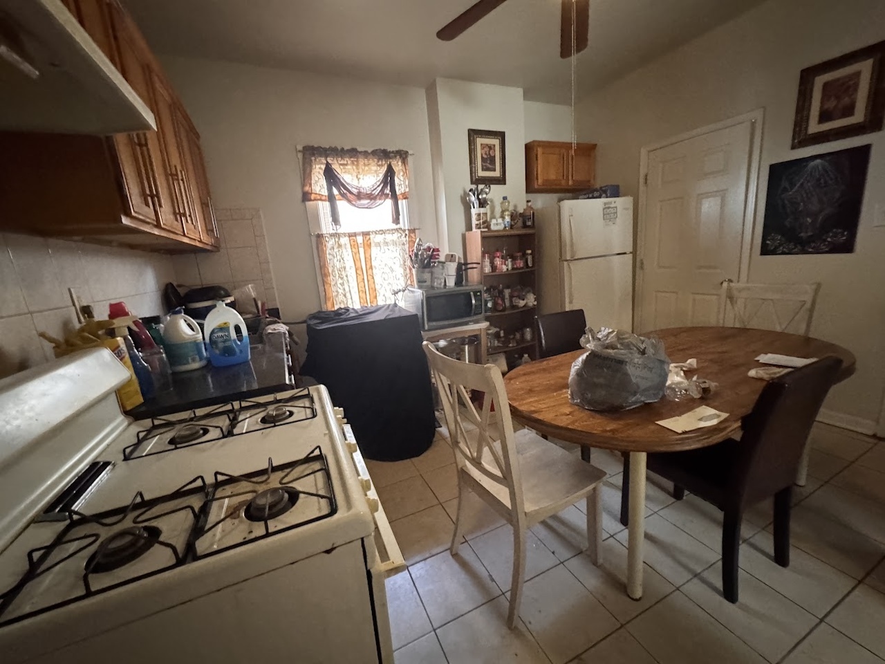 1041 N Central Park Avenue, Chicago, IL 60651